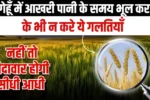 Avoid this one mistake in wheat irrigation
